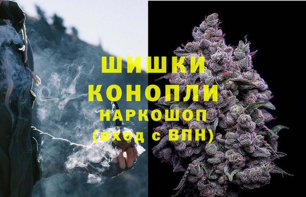 шишки Абинск