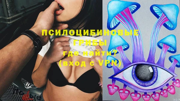шишки Абинск