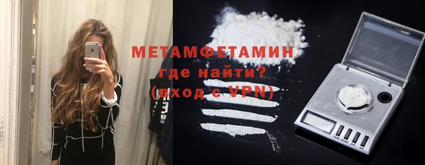 прущие грибы Приозерск