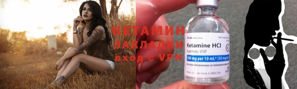 прущие грибы Приозерск