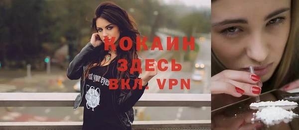 прущие грибы Приозерск